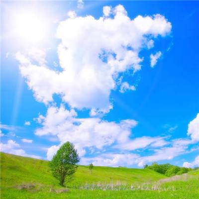 半岛全站app下载