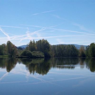 m6米乐网页版登录入口app下载