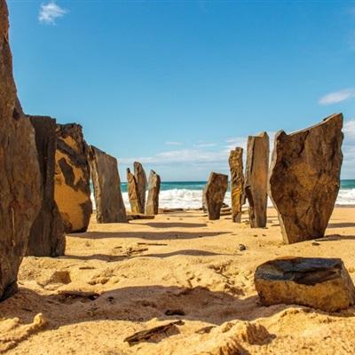 威斯尼斯wns888入