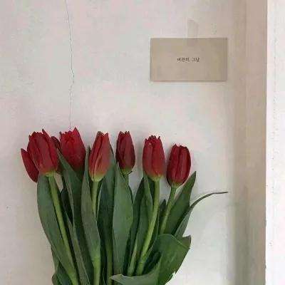 皇冠正规娱乐平台(官方)