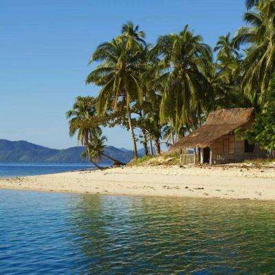 开元ky7818老版本下载手机版