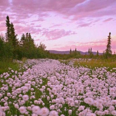 火狐体育下载appapp下载